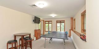 Winter Rental: Wingaerchic (Dog-friendly!) Gallery 36