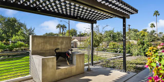 Citrine Apartments Arcadia Gallery 17