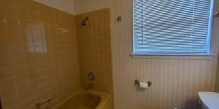 4318 WINDSWEPT Gallery 25