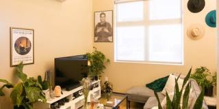 The Franz - Residential Gallery 1