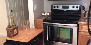 1506 PENNYCRESS Lane Gallery 2