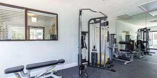 The Palms at Sand Lake Gallery 5