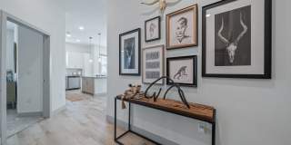 Livano Pflugerville Gallery 31