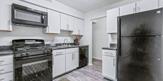 Brighton Village Gallery 1