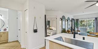 Novi at Queen Anne Gallery 11