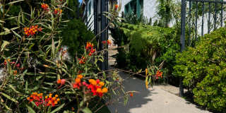 1237 E. Santa Clara Street Gallery 24