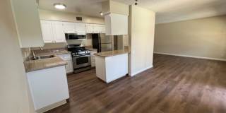 Riverside Garden Gallery 1