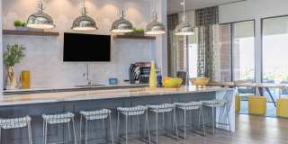 Ravella at Sienna Gallery 12