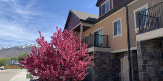 Triton Terrace Gallery 15