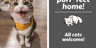 Citadel Apartments Gallery 17