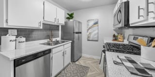 District 5800 Gallery 2