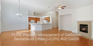 1732 Bamboo Street Gallery 4