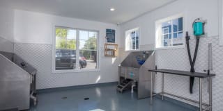 Arboretum West Gallery 27