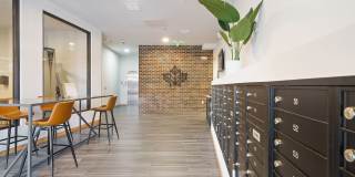 Maple Leaf Gallery 12