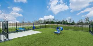 Aspen at Gateway Gallery 37