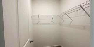 339 PUMA LOOP Gallery 14