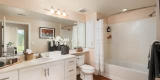 Mosaic Apartments Gallery 6