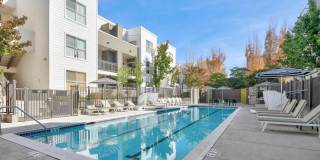 Almaden Lake Village Gallery 30