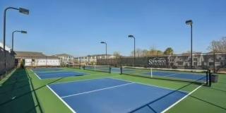 491 Pearl Street Gallery 2