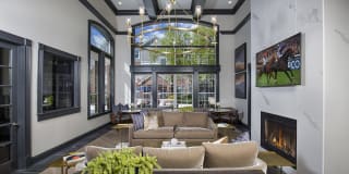 Lake Clearwater Gallery 9