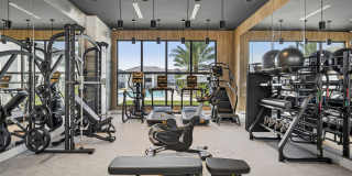 Nuvo Daytona Gallery 4