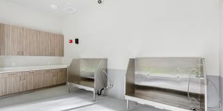 Adara at Totem Lake Gallery 17