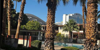 350 E Desert Inn Road Gallery 16