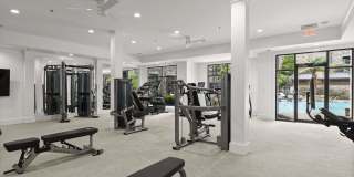 Cortland Oleander Gallery 24