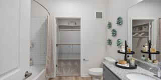 Prose Ascend Gallery 21