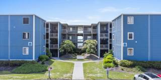 Furnished avail @ Topsail Reef Condos - OCEANFRONT Gallery 1