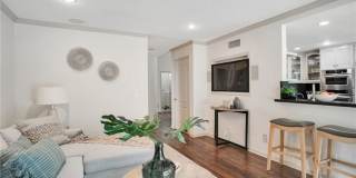 19832 Turtle Springs Way Gallery 8