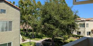 24465 Valle Del Oro #203 - 1 Gallery 26