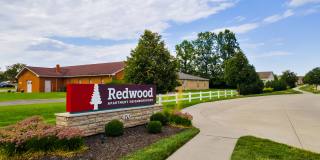 Redwood Lebanon Gallery 4