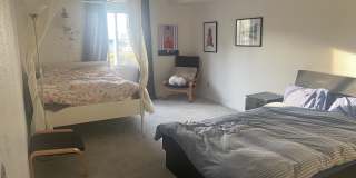 535 Pierce St Gallery 9