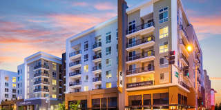 808 West Apartments Gallery 33