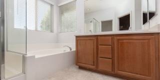 8277 Brilliant Pompon Place Gallery 18