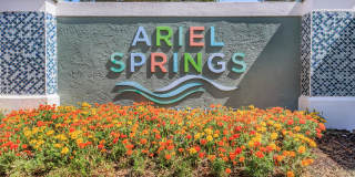 Ariel Springs Gallery 28