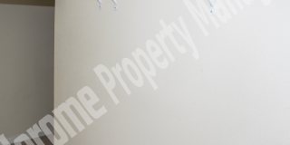 20303 Autumn Fern Ave Gallery 47