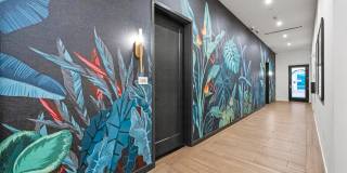 Leksa at Cityplace Gallery 75