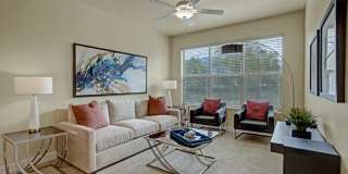 Hills at Sandy Station Gallery 6