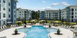 Arcadia 331 Gallery 42