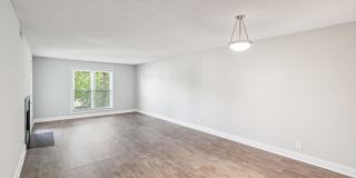 Piccadilly Gallery 55