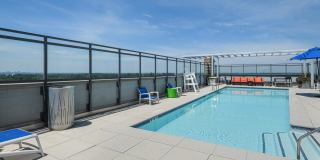 Ellis Bethesda Gallery 4