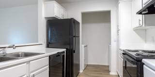 ReNew Brandon Gallery 5