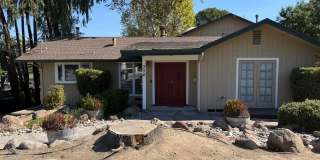 AMAZING PROPERTY IN A GREAT NEIGHBORHOOD!! OVER 13,000 SQ. FT LOT LOW MAINTENANCE. PRIVACY GALORE!! Gallery 1