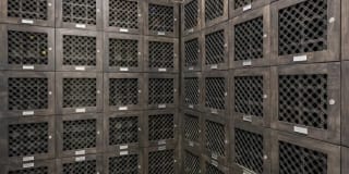 Peridot Palms Gallery 25