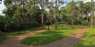 Central Gardens Grand Gallery 27