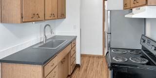 Carroll Court Gallery 1