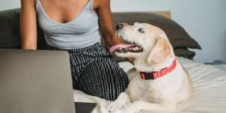 Serengeti Springs Gallery 13