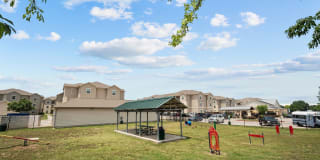 Longhorn Crossing Gallery 22